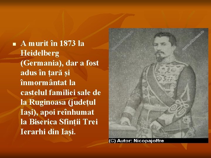 n A murit în 1873 la Heidelberg (Germania), dar a fost adus în ţară
