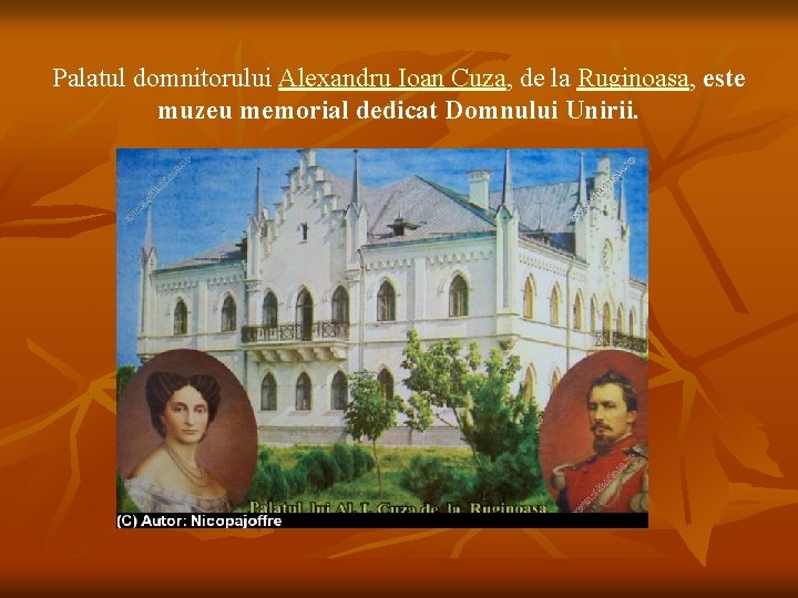 Palatul domnitorului Alexandru Ioan Cuza, de la Ruginoasa, este muzeu memorial dedicat Domnului Unirii.
