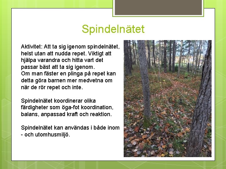 Spindelnätet Aktivitet: Att ta sig igenom spindelnätet, helst utan att nudda repet. Viktigt att