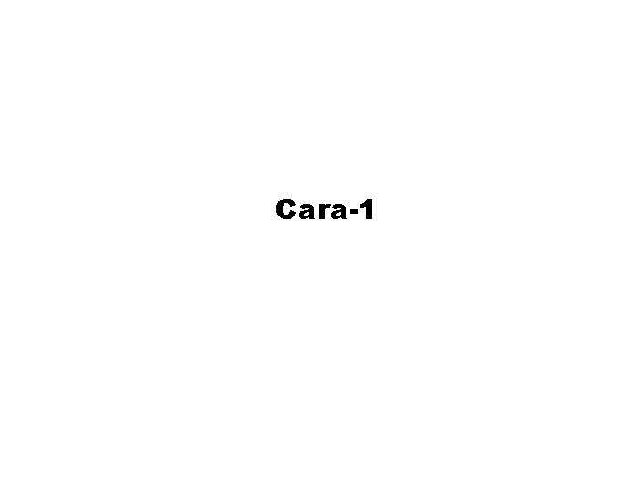 Cara-1 