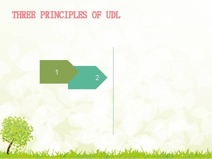 THREE PRINCIPLES OF UDL 1 2 