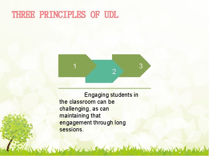 THREE PRINCIPLES OF UDL 1 3 2 Engaging students in the halle. Engaging students