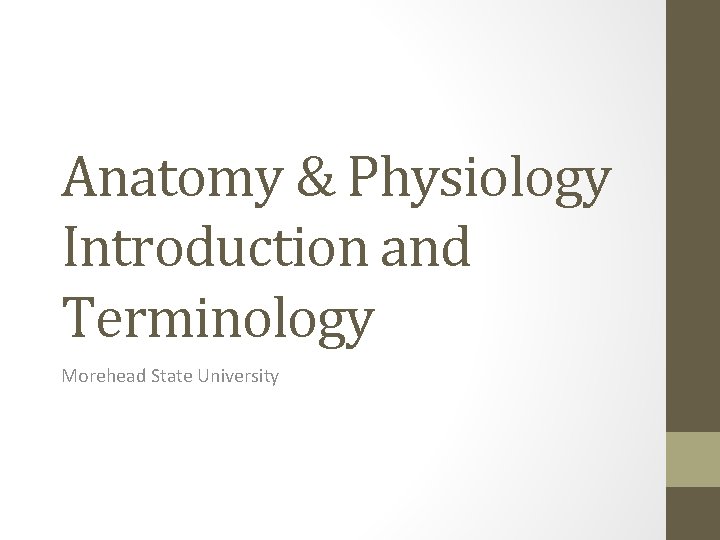 Anatomy & Physiology Introduction and Terminology Morehead State University 