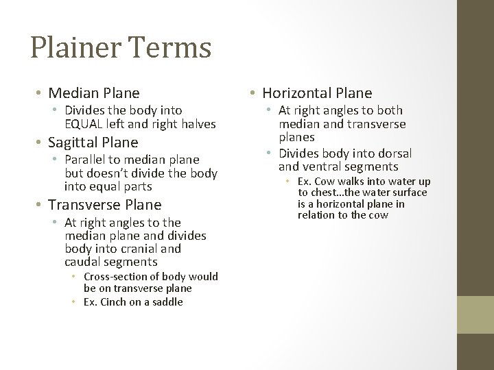 Plainer Terms • Median Plane • Divides the body into EQUAL left and right