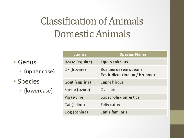 Classification of Animals Domestic Animals Animal • Genus • (upper case) • Species •