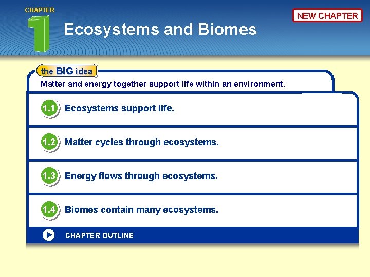CHAPTER Ecosystems and Biomes the BIG idea Matter and energy together support life within