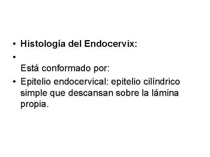  • Histología del Endocervix: • Está conformado por: • Epitelio endocervical: epitelio cilíndrico