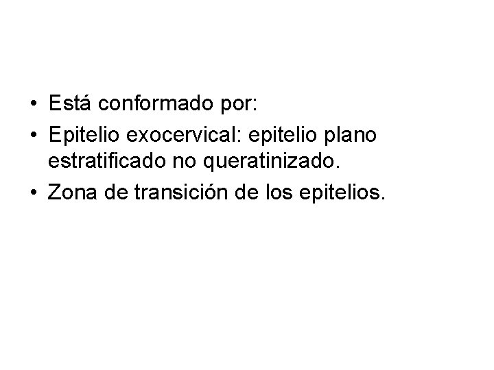  • Está conformado por: • Epitelio exocervical: epitelio plano estratificado no queratinizado. •