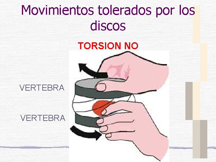 Movimientos tolerados por los discos TORSION NO VERTEBRA 