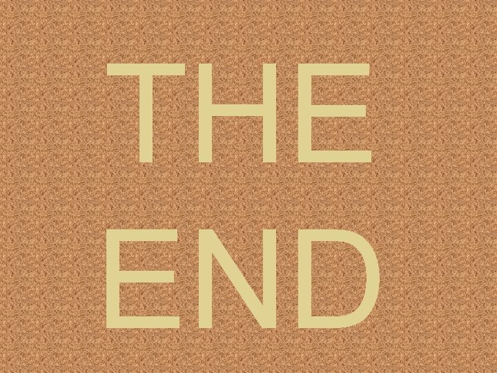 THE END 