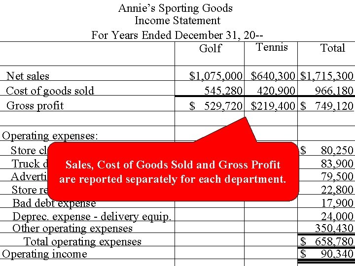 Annie’s Sporting Goods Income Statement For Years Ended December 31, 20 -Tennis Golf Net