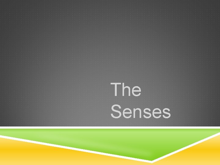 The Senses 