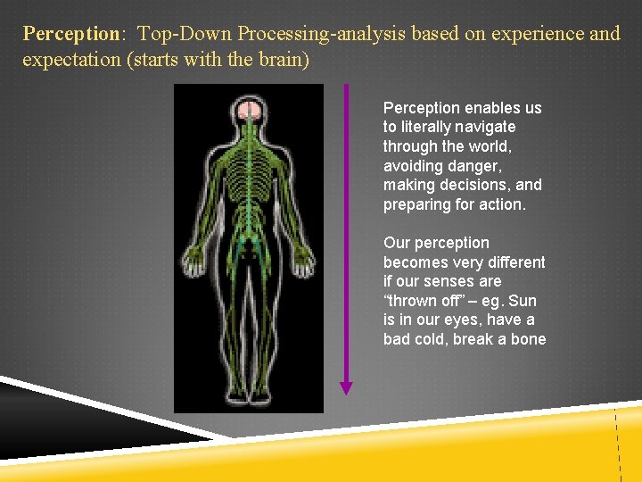 Perception: Top-Down Processing-analysis based on experience and expectation (starts with the brain) Perception enables