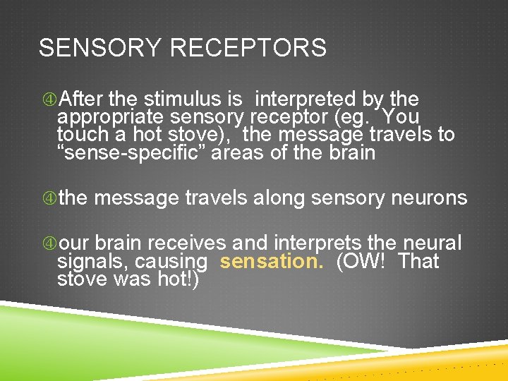 SENSORY RECEPTORS After the stimulus is interpreted by the appropriate sensory receptor (eg. You