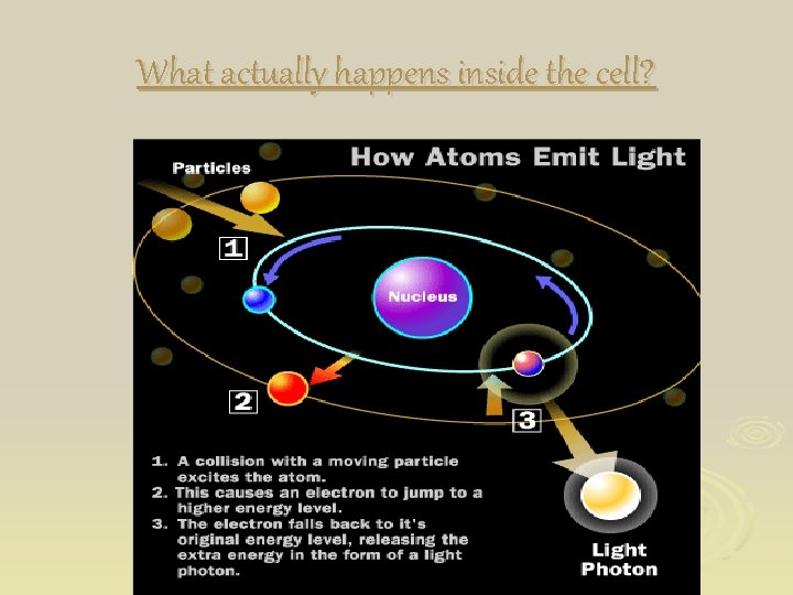 What actually happens inside the cell? 