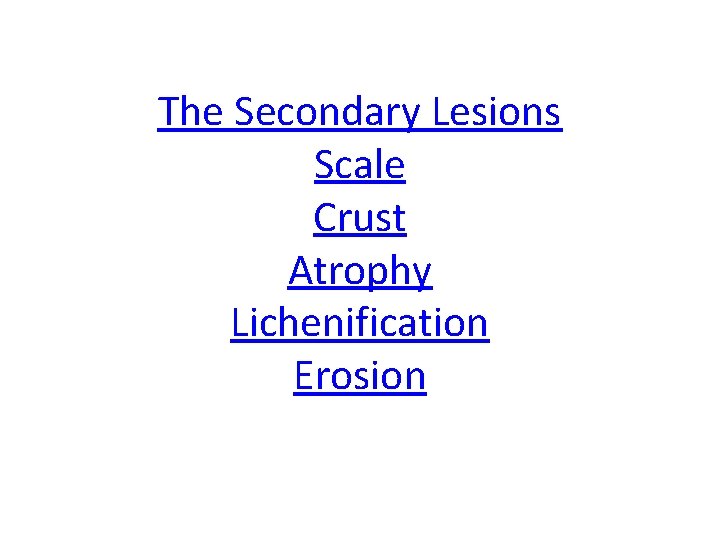 The Secondary Lesions Scale Crust Atrophy Lichenification Erosion 