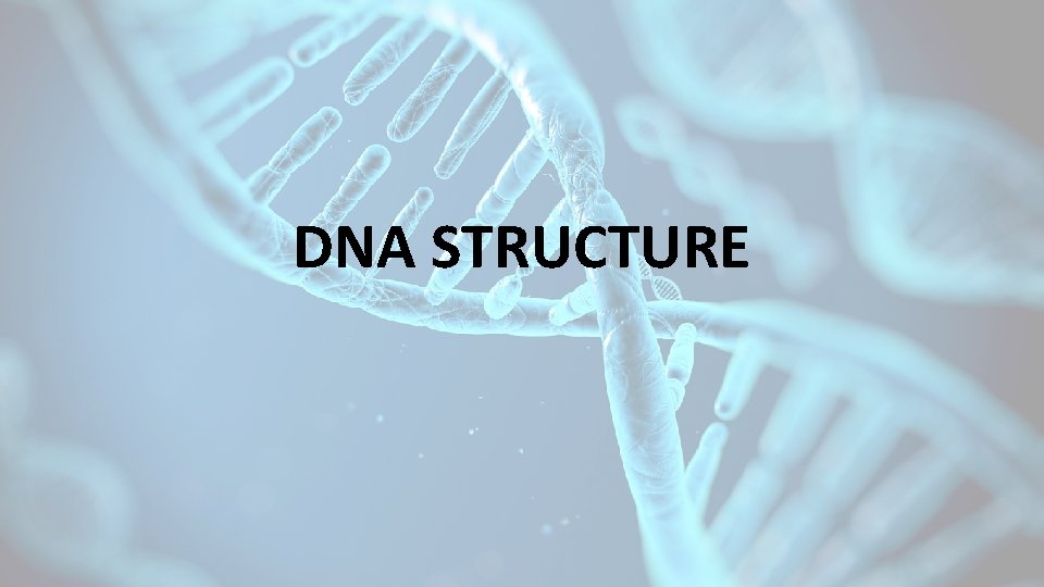 DNA STRUCTURE 