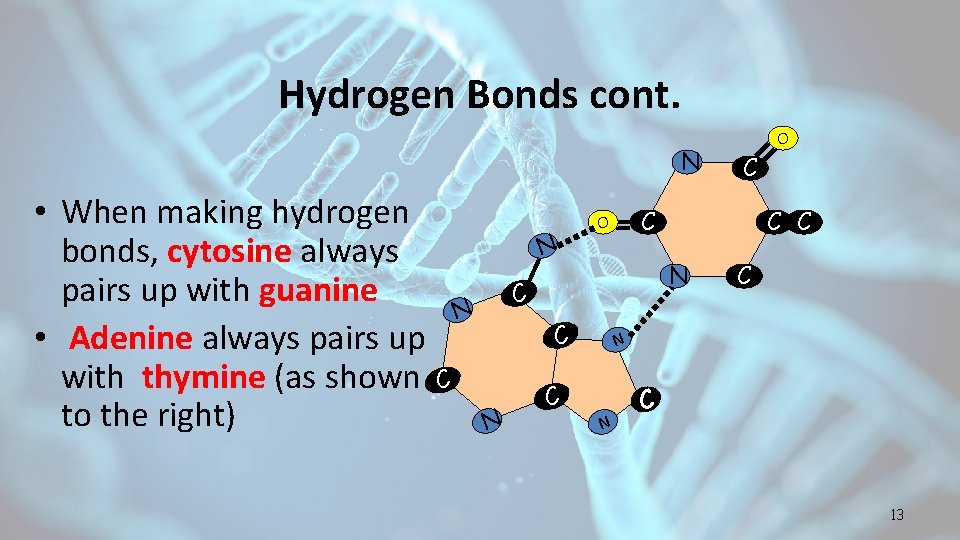 Hydrogen Bonds cont. N • When making hydrogen bonds, cytosine always pairs up with