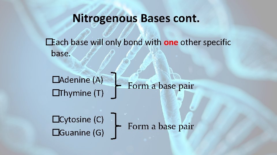 Nitrogenous Bases cont. �Each base will only bond with one other specific base. �Adenine