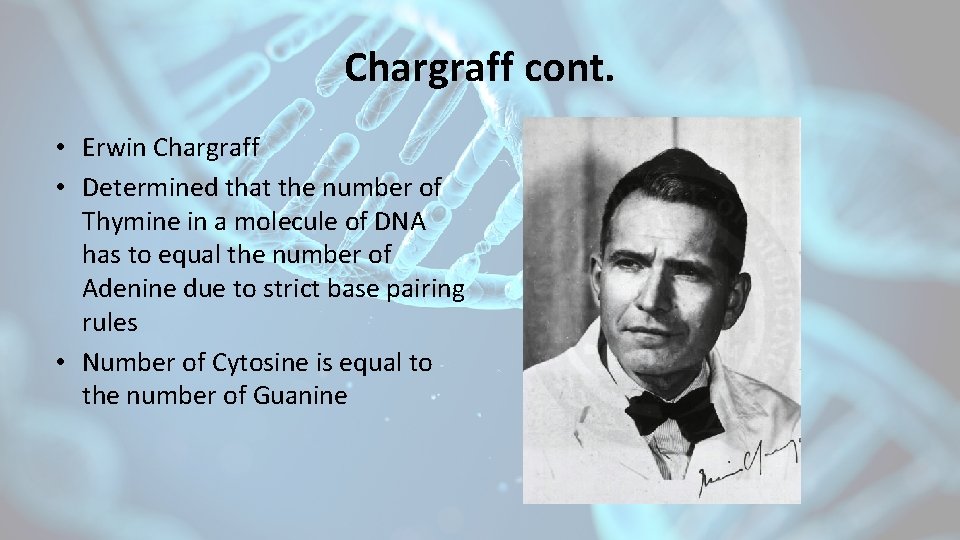 Chargraff cont. • Erwin Chargraff • Determined that the number of Thymine in a