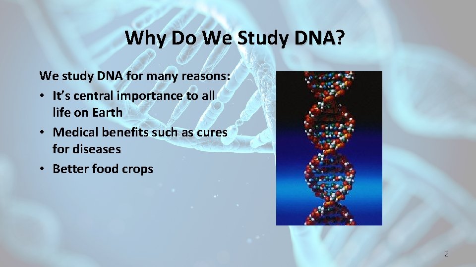 Why Do We Study DNA? DNA We study DNA for many reasons: • It’s