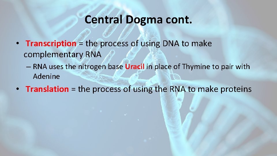 Central Dogma cont. • Transcription = the process of using DNA to make complementary