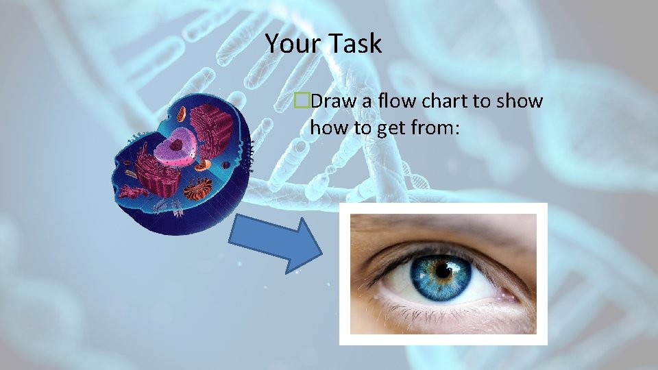 Your Task �Draw a flow chart to show to get from: 