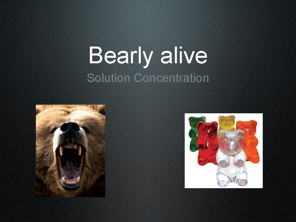 Bearly alive Solution Concentration 