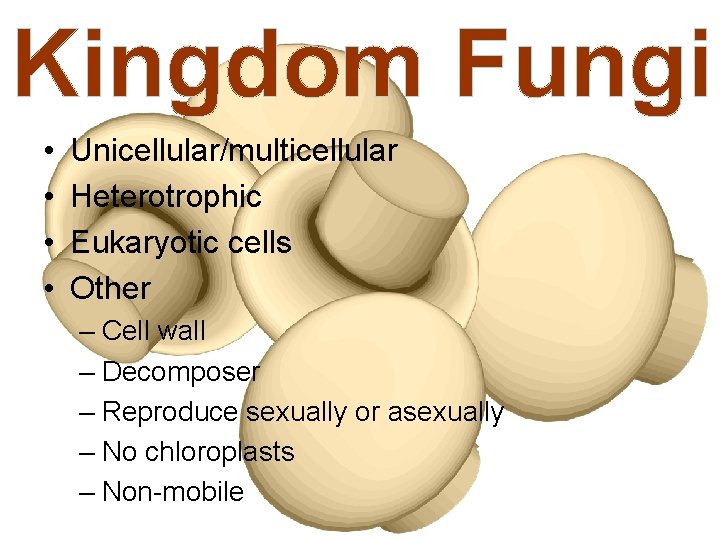 Kingdom Fungi • • Unicellular/multicellular Heterotrophic Eukaryotic cells Other – Cell wall – Decomposer