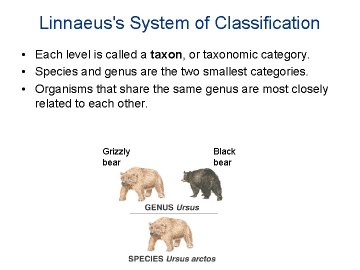 Linnaeus's System of Classification • Each level is called a taxon, or taxonomic category.