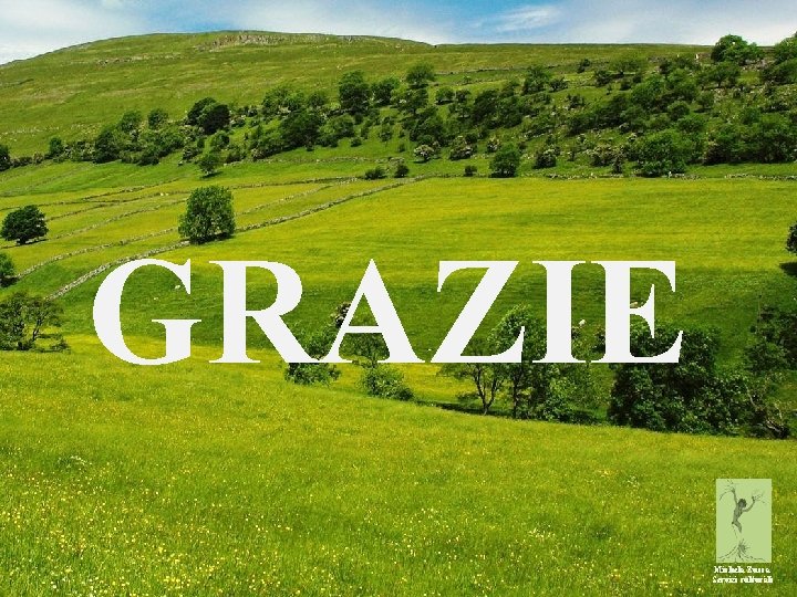 GRAZIE Michela Zucca Servizi culturali 