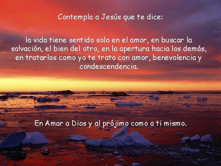 Contempla a Jesús que te dice: la vida tiene sentido solo en el amor,