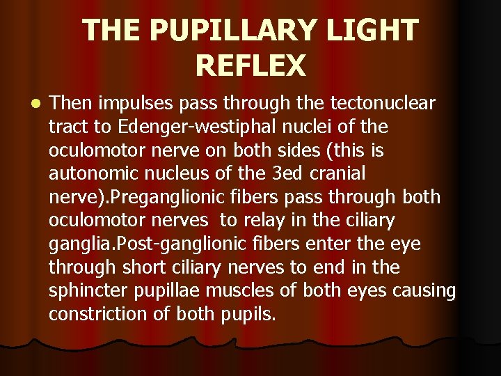 THE PUPILLARY LIGHT REFLEX l Then impulses pass through the tectonuclear tract to Edenger-westiphal