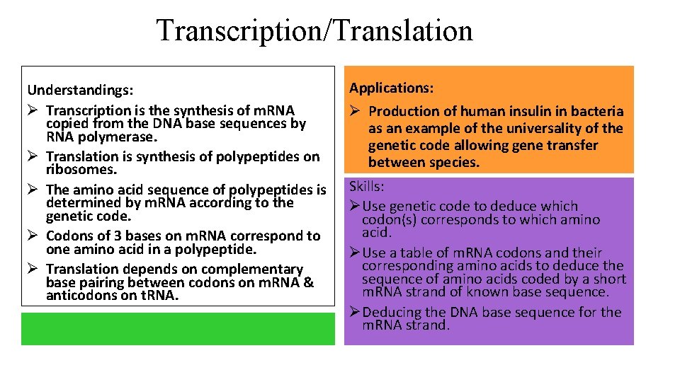 Transcription/Translation Understandings: Ø Transcription is the synthesis of m. RNA copied from the DNA