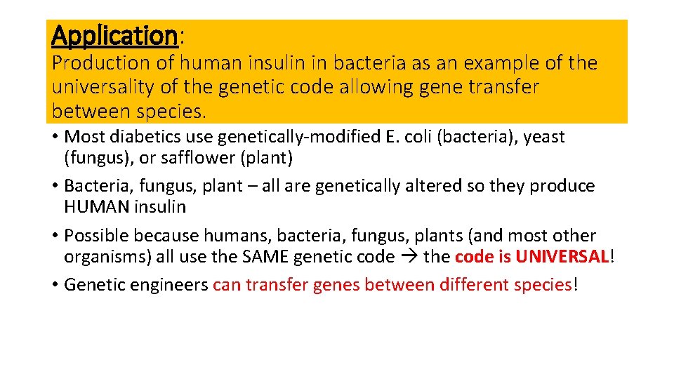 Application: Production of human insulin in bacteria as an example of the universality of