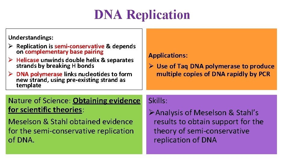 DNA Replication Understandings: Ø Replication is semi-conservative & depends on complementary base pairing Ø