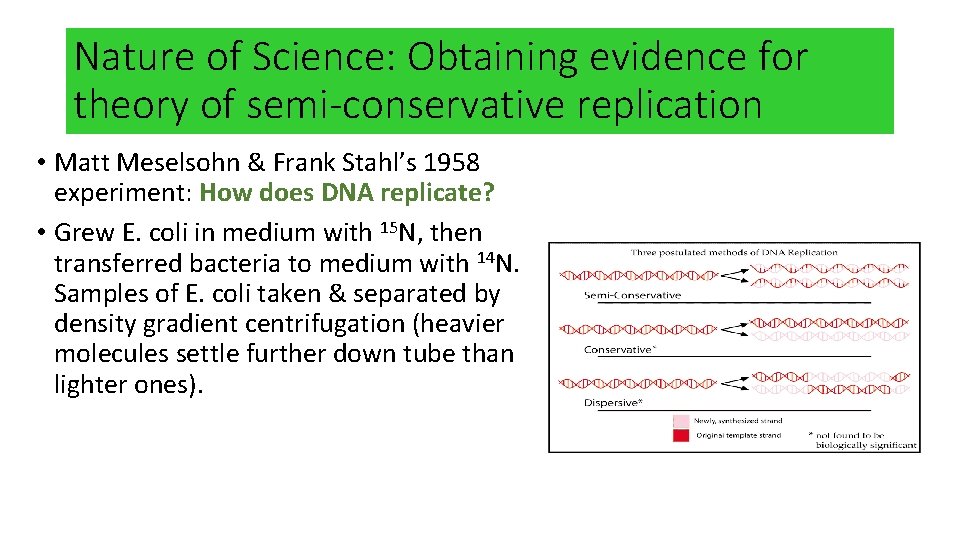 Nature of Science: Obtaining evidence for theory of semi-conservative replication • Matt Meselsohn &