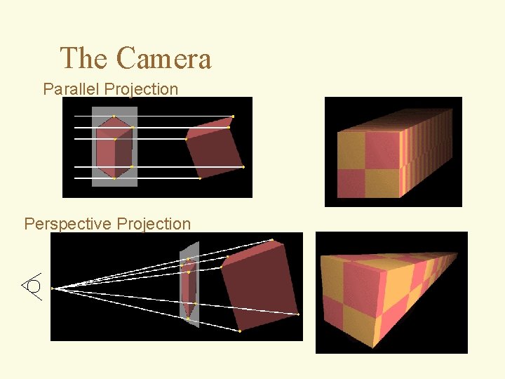 The Camera Parallel Projection Perspective Projection 