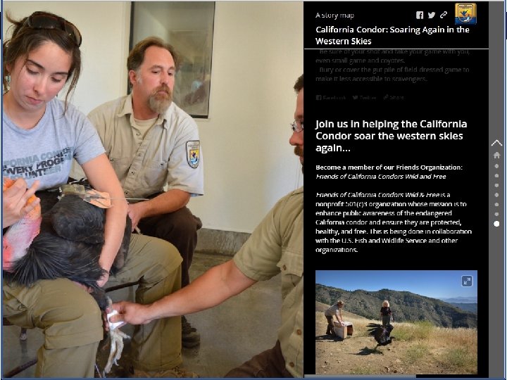 U. S. Fish & Wildlife Service Application/Story Map Example 26 