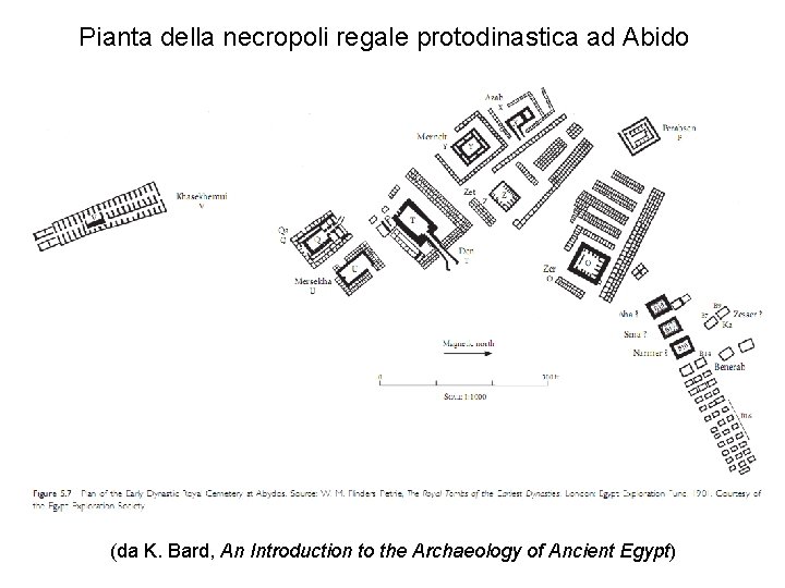 Pianta della necropoli regale protodinastica ad Abido (da K. Bard, An Introduction to the