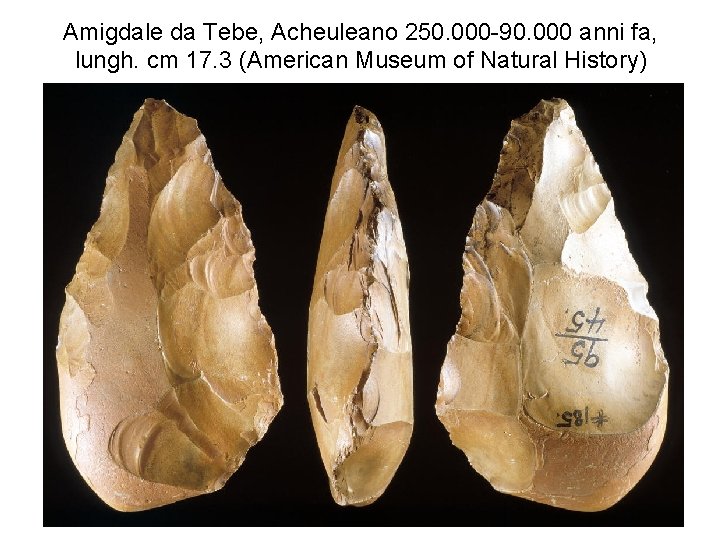 Amigdale da Tebe, Acheuleano 250. 000 -90. 000 anni fa, lungh. cm 17. 3