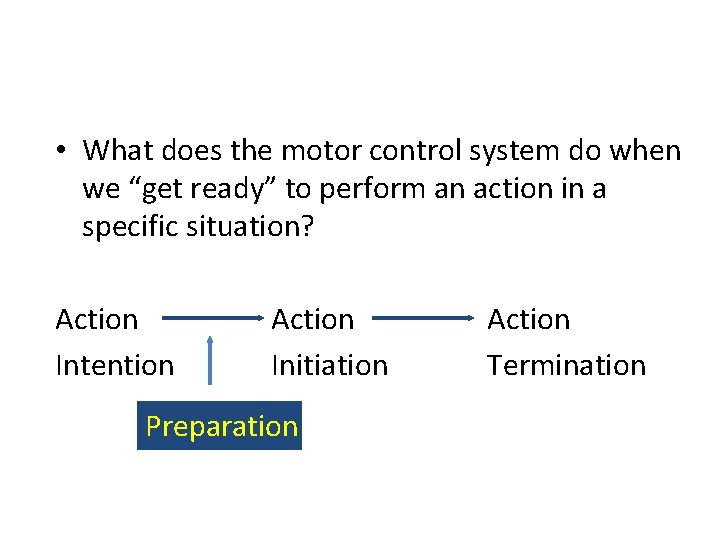 • What does the motor control system do when we “get ready” to • What does the motor control system do when we “get ready” to