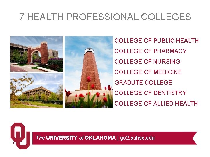 7 HEALTH PROFESSIONAL COLLEGES COLLEGE OF PUBLIC HEALTH COLLEGE OF PHARMACY COLLEGE OF NURSING