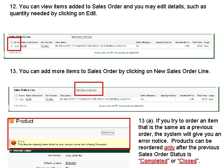12. You can view items added to Sales Order and you may edit details,