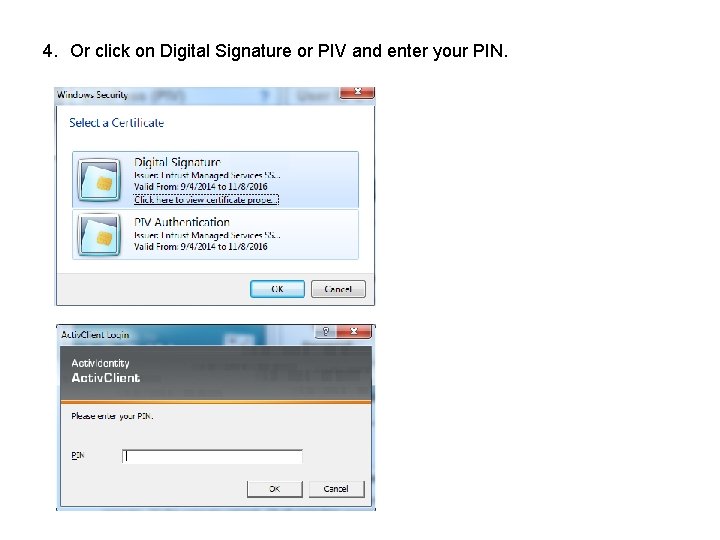 4. Or click on Digital Signature or PIV and enter your PIN. 