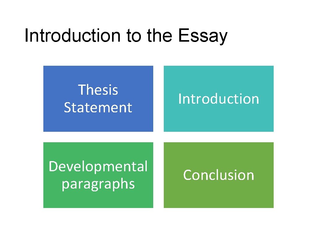 Introduction to the Essay Thesis Statement Introduction Developmental paragraphs Conclusion 