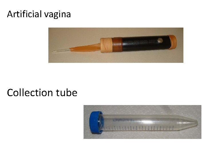 Artificial vagina Collection tube 