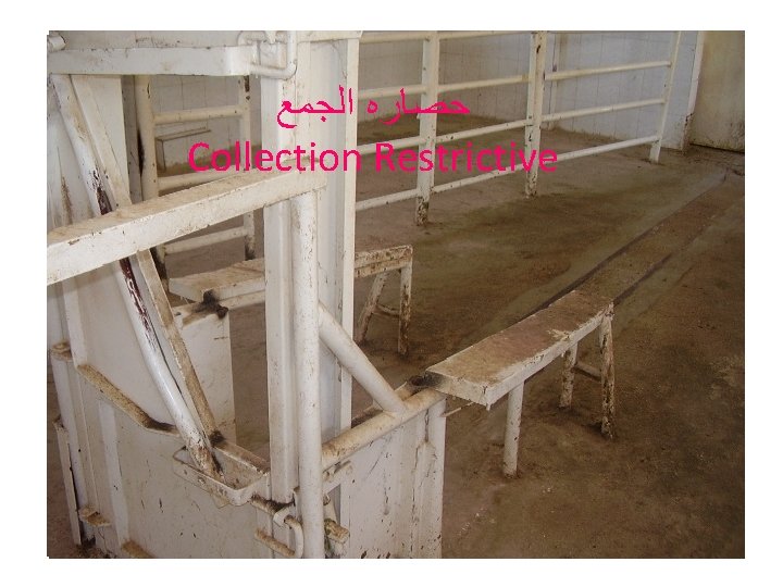  ﺣﺼﺎﺭﻩ ﺍﻟﺠﻤﻊ Collection Restrictive 