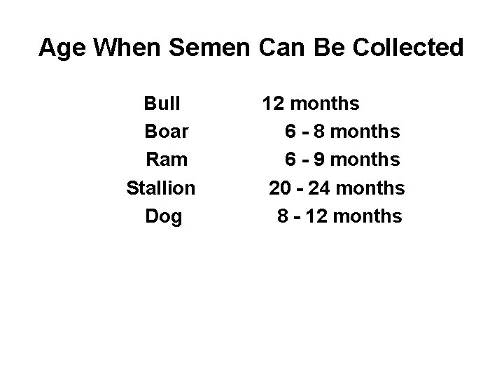 Age When Semen Can Be Collected Bull Boar Ram Stallion Dog 12 months 6