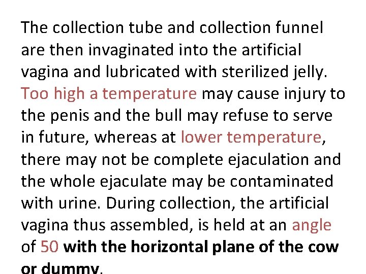 The collection tube and collection funnel are then invaginated into the artificial vagina and